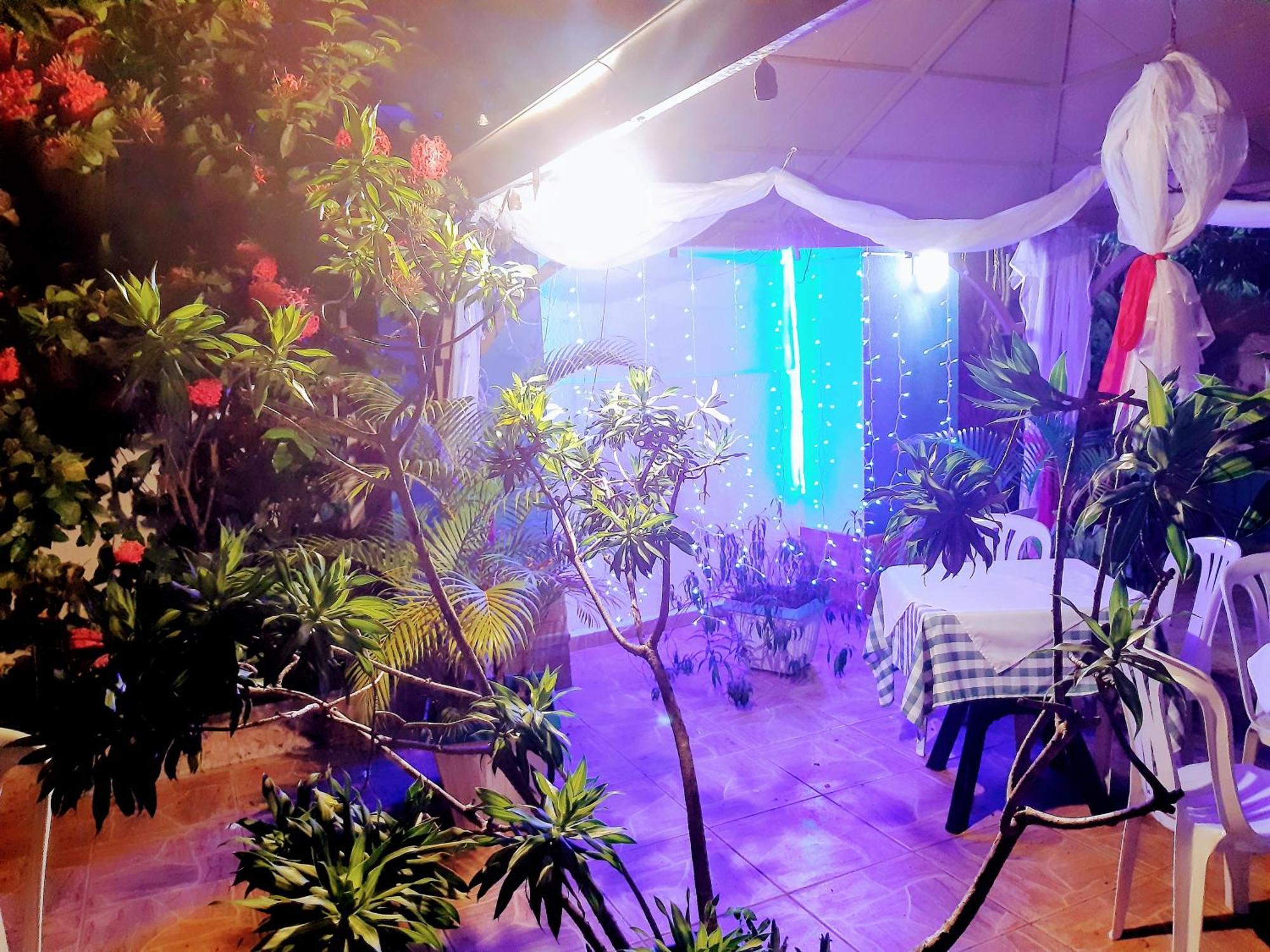 Hotel El Tronco Inc Boca Chica Zewnętrze zdjęcie